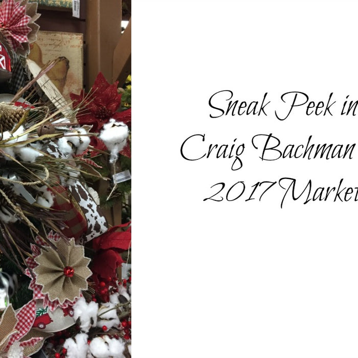 January 4 2017 Sneak Peek into our Craig Bachman Imports Visit