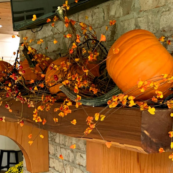 Back Porch Fall Decorations