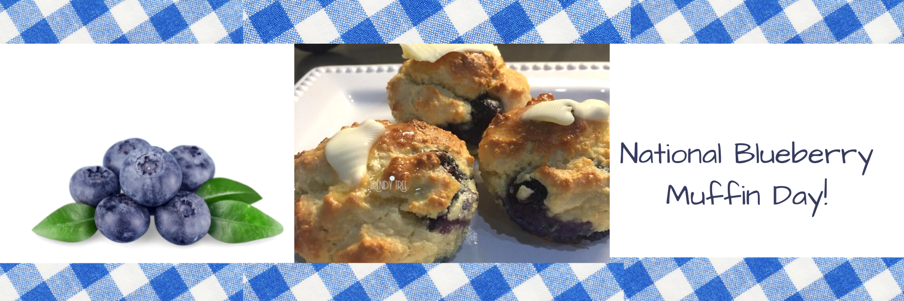 Keto Blueberry Muffins