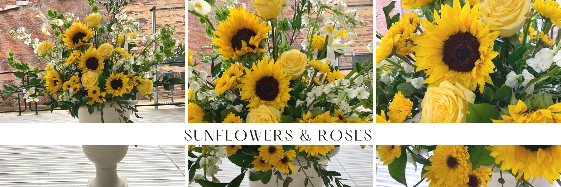 Sunflowers & Yellow Roses - Sunshine!