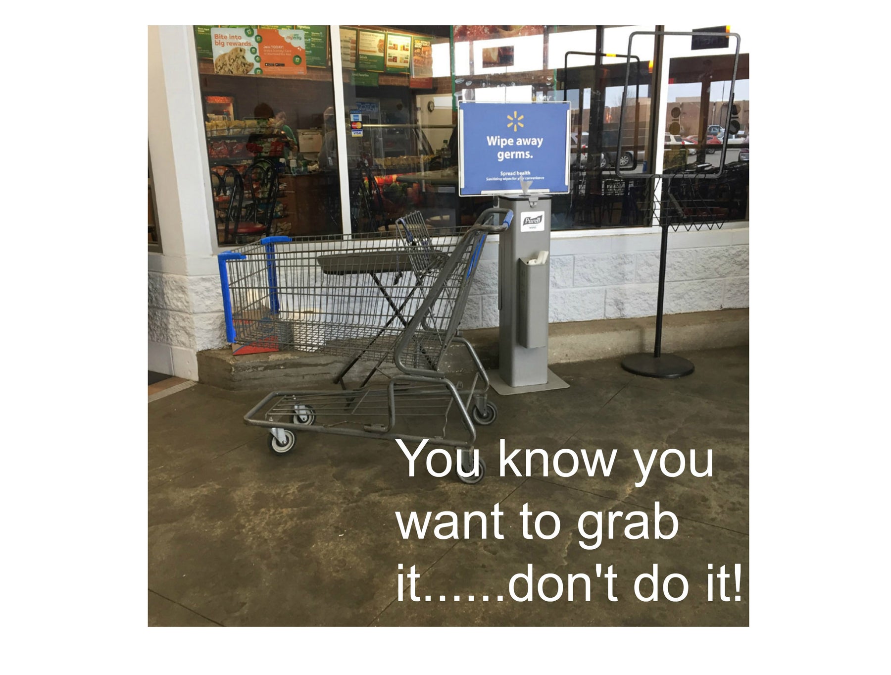 Walmart Shopping Carts