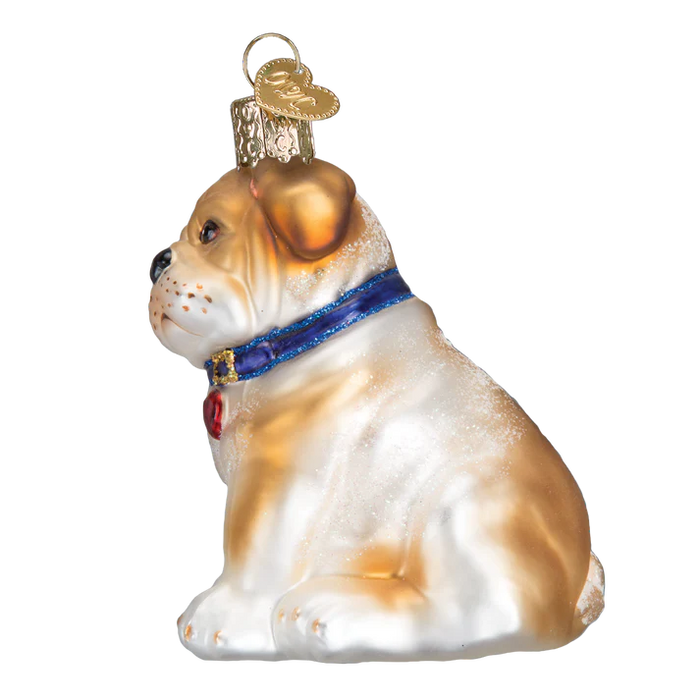 Bull Pup Ornament Old World Christmas Ornament 12136