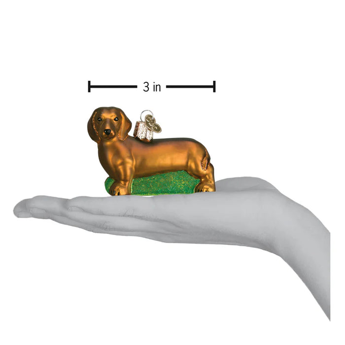 Dachshund Dog Old World Christmas Ornament 12219