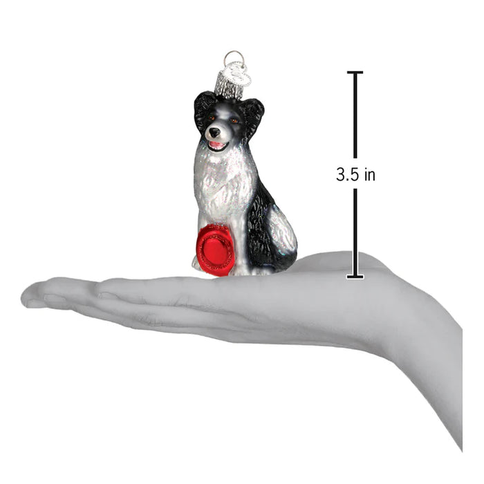 Border Collie Ornament Old World Christmas Ornament 12302