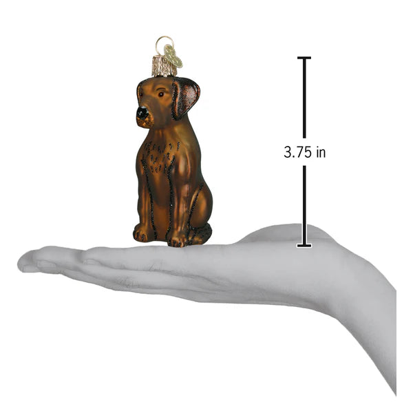 Chocolate Labrador Dog Old World Christmas Ornament 12387