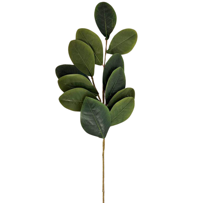 31" Sweetbay Magnolia Leaves Spray 30353