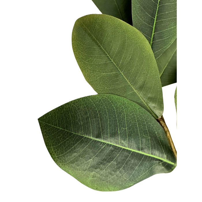 21" Sweetbay Magnolia Leaves Pick 30355