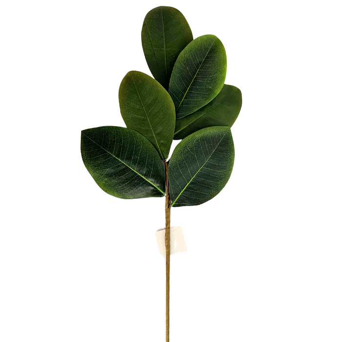 21" Sweetbay Magnolia Leaves Pick 30355