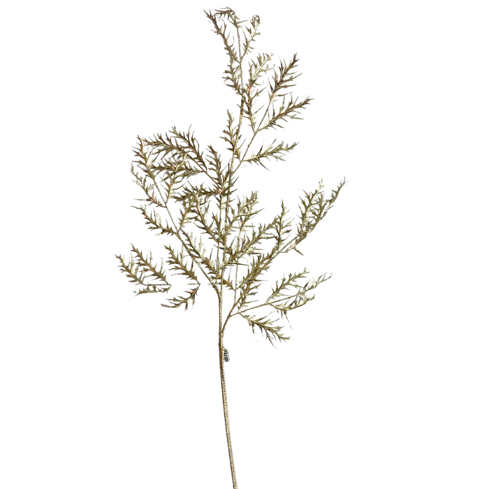 The 48-In Fern Spray 32106-Champ features delicate, dried fern sprigs with thin branching stems and small, feathery leaves. Isolated on a white background, it highlights an intricate, natural texture that exudes an elegant champagne-like appearance.