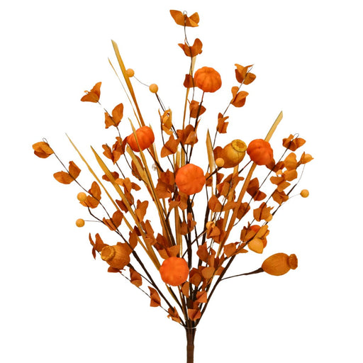 orange mini pumpkin fall bush