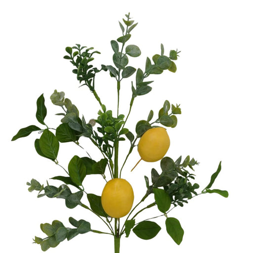 40228-green-yellow-mixed-greeenery-lemons-spray