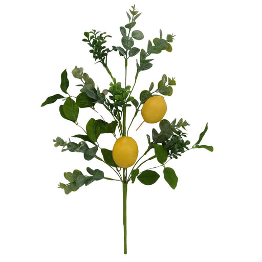 40228-green-yellow-mixed-greeenery-lemons-spray