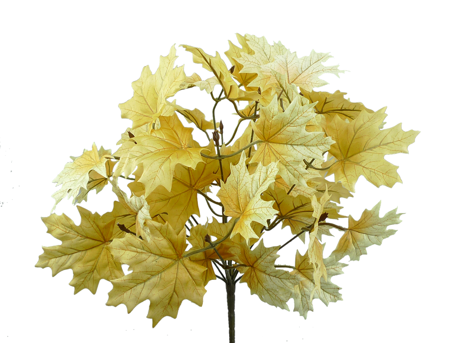 20" Beige Maple Leaf Bush with 12 Stems 56600BE