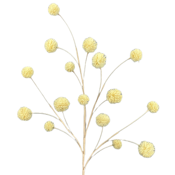 beige snowball allium spray