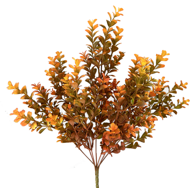 20" Orange Eucalyptus Bush with 7 Stems 57094OR