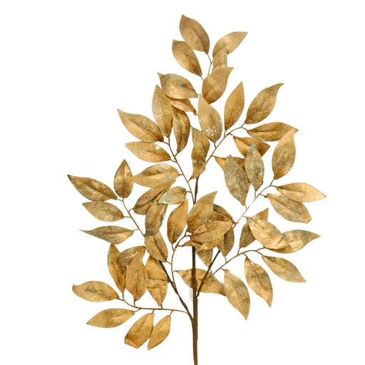 gold beech leaf spray