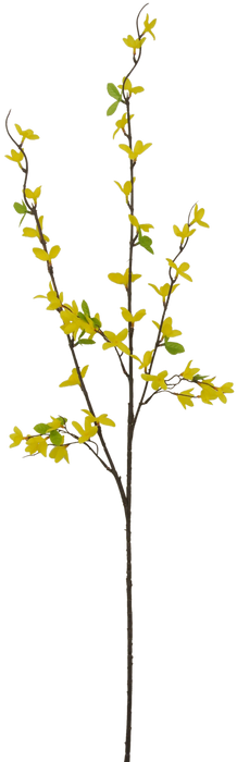 40" Forsythia Spray 3 Stems 80992