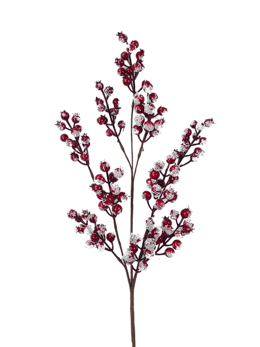 The 31" Red Snow Berry Spray 83571RD features a branch adorned with clusters of vibrant red berries, elegantly coated in white snow and showcased against a plain background.