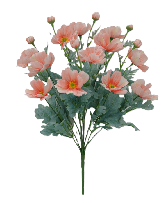 22" Cosmos Bush Peach 12 Stems 84299-PH