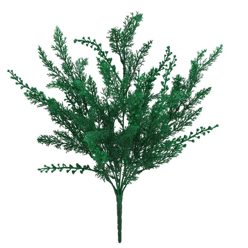 green cypress bush