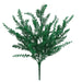 green cypress bush