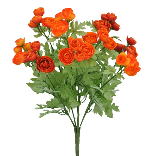 orange ranunculus bush