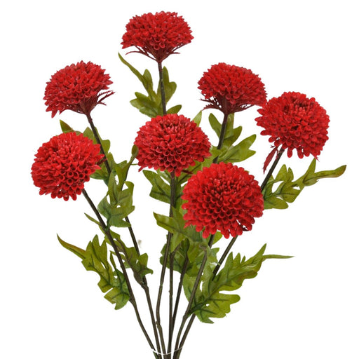 red dahlia bush