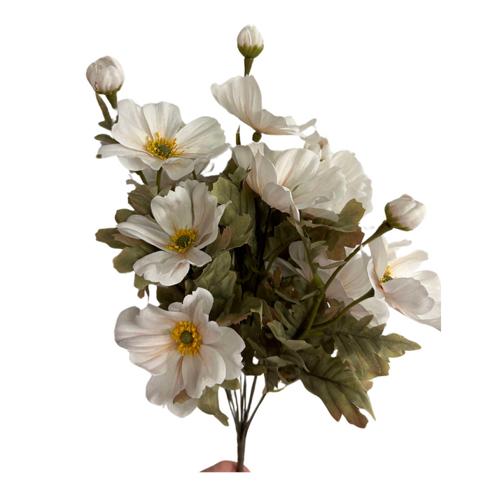 21 In Cosmos Bush X 11 84566-Ivory