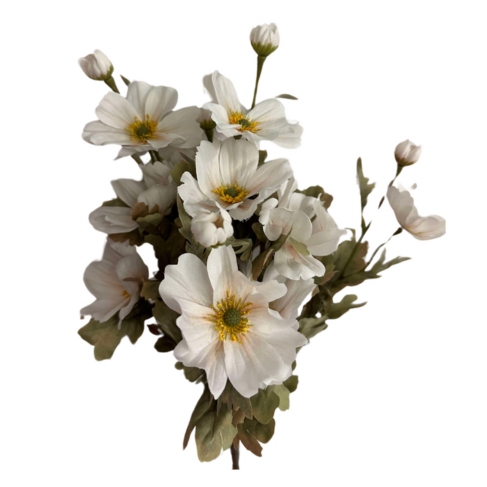 21 In Cosmos Bush X 11 84566-Ivory