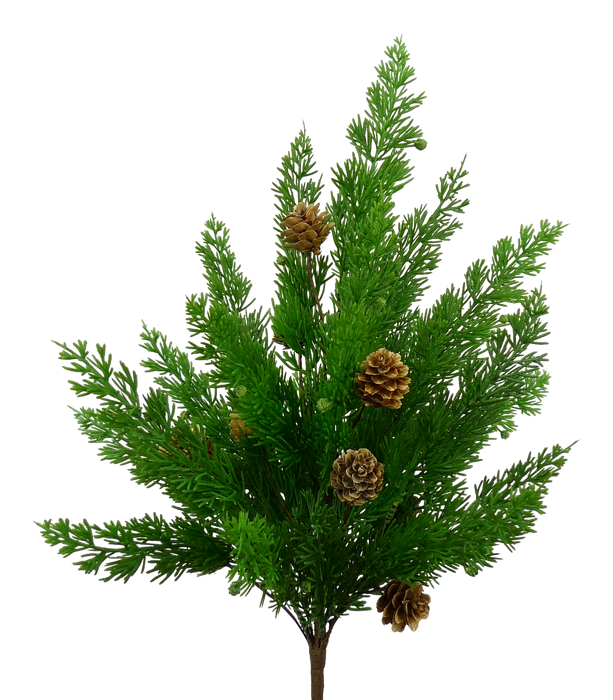 19" Eastern Cedar Bush  84823BU19