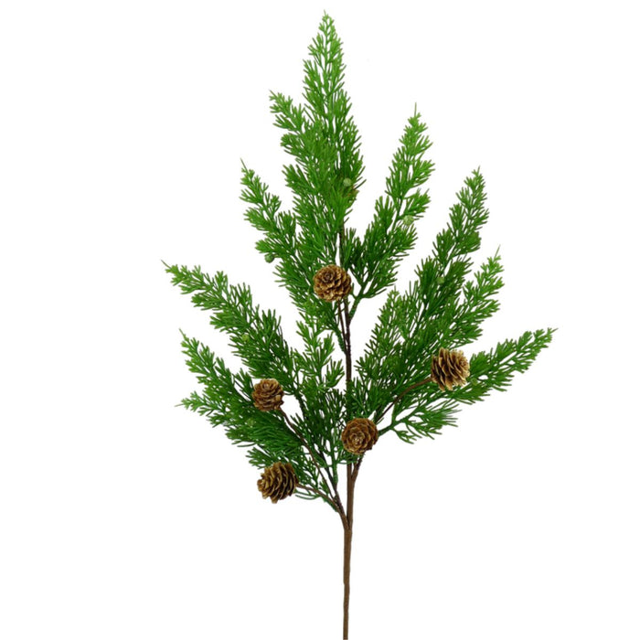 eastern cedar spray with small pinecones