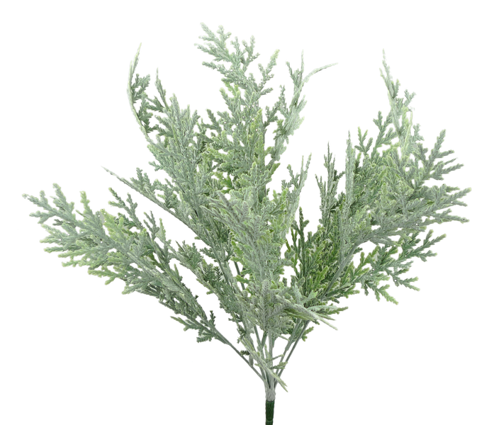 A beautifully isolated 18" White Snowy Cedar Bush (Product Code: 84922SNOW) features fine, feathery green foliage branches on a white background.