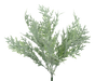 A beautifully isolated 18" White Snowy Cedar Bush (Product Code: 84922SNOW) features fine, feathery green foliage branches on a white background.