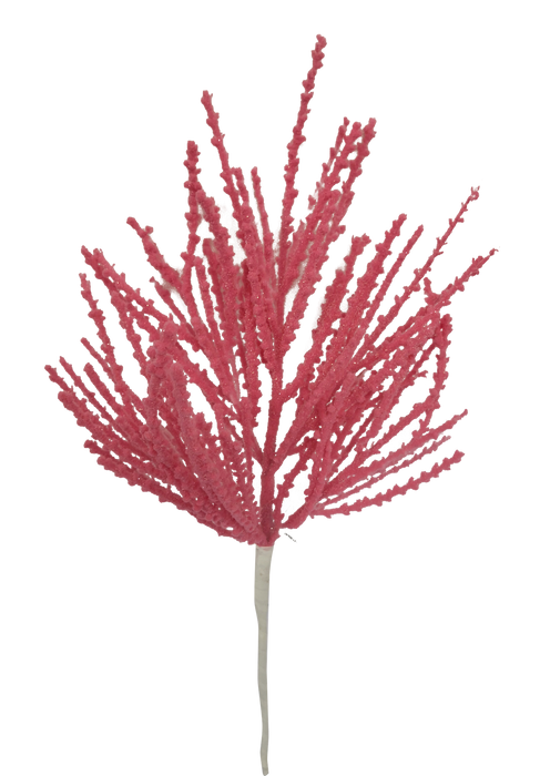 A detailed image of pink coral against a plain background, resembling an 18-inch tall sculpture with tree-like branching stems. The intricate texture is reminiscent of the 18" Flocked Pine Pick, showcasing the natural beauty and delicate structure typical of coral formations.