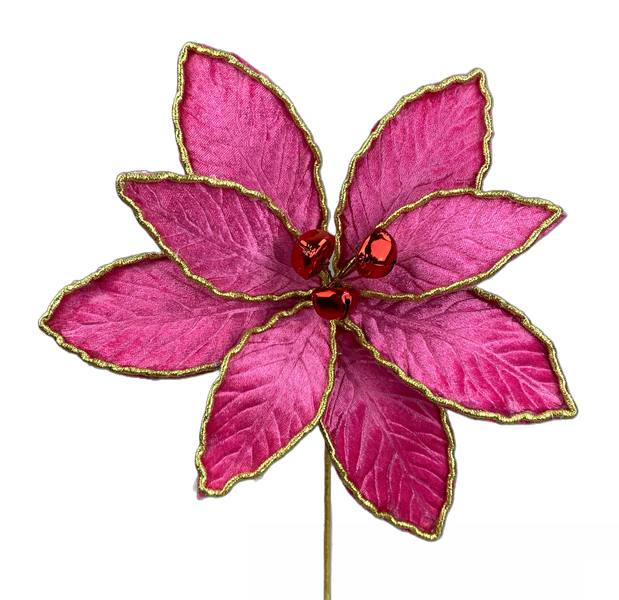 The 15" by 9" Hot Pink Velvet Poinsettia Pick (Product Code: 85739BT) showcases a decorative design with gold-edged leaves and three shiny red beads at its center, set elegantly against a plain white background to enhance any setting.