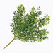 The 18 Boxwood & Seeds Bush with 7 Stems (E66251149) features lush green leaves and small white buds, creating a natural and vibrant pattern against a plain white background.