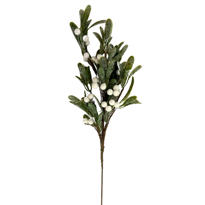 24" Frosted Mistletoe Spray ISB71373