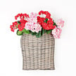 11" by 13.5" by 4" Curvy Basket M21202IEI