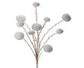 The 34" Snow Blizzard Ball Spray White MTX70556 features elegant fan-shaped arrangements with slender, light brown stems adorned with fluffy white pom-poms, perfect for bringing a wintry charm to any space.