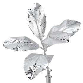 Silver magnolia spray