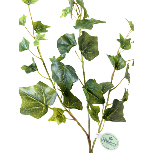 The 25 Green English Garden Ivy Spray (MTF24582) features dark green leaves with light green veins in a natural, cascading style, tagged with Regency against a plain white background.