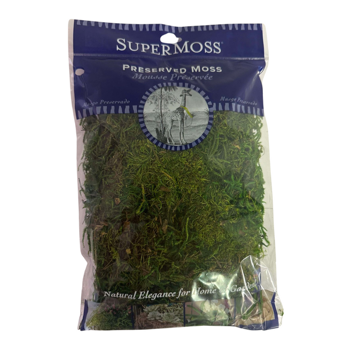 Fresh Green Bagged Forest Moss 25320