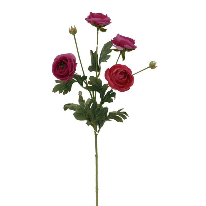 26" Fuchsia Ranunculus Spray 84072-Fu