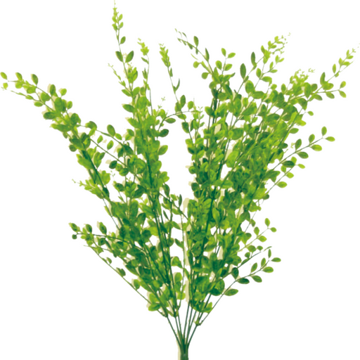 A cluster of green leafy branches with small, oval-shaped leaves on slender stems reminiscent of the 22 Plastic Boxwood Bush 13137Gn fanned out against a white background.