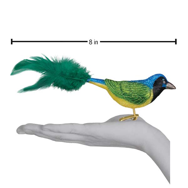 Green Jay Ornament  Old World Christmas  18100