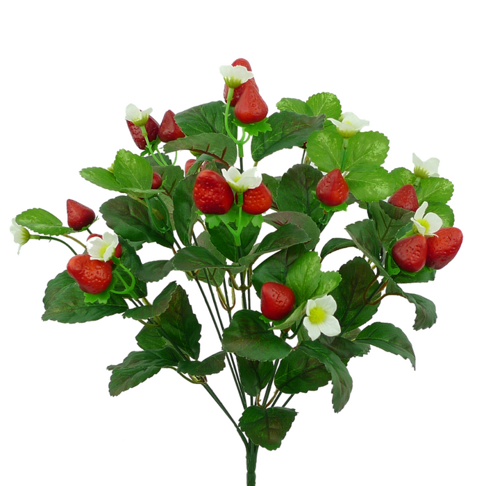 17" Strawberry Bush 35099RD