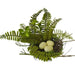 The 10" Nest with Eggs 62626 displays a calming scene: a collection of four speckled eggs nestled in a nest, surrounded by vibrant green fern leaves set against a simple white background.