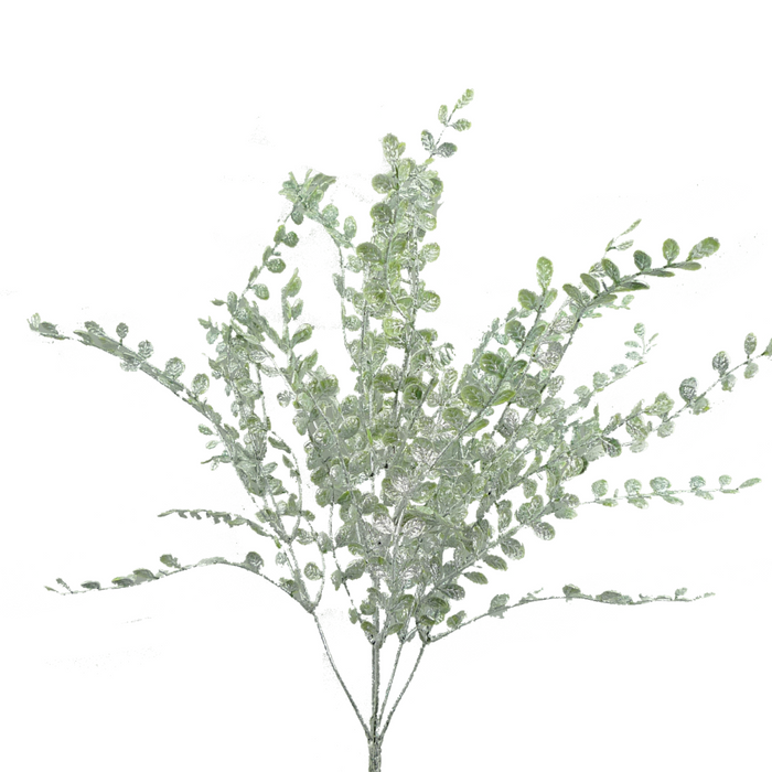 A cluster of delicate branches with small leaves, displaying a light green hue similar to the 24" Green and White Plastic Flat Boxwood Bush 84960Gnwt, elegantly fanned out against a white background to create a soft and airy appearance.