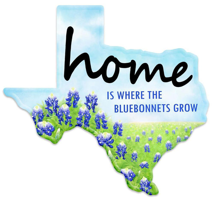 12.5"Lx 11.5"H Metal Texas Sign  Multi Blue/Green/White/Black  MD1061