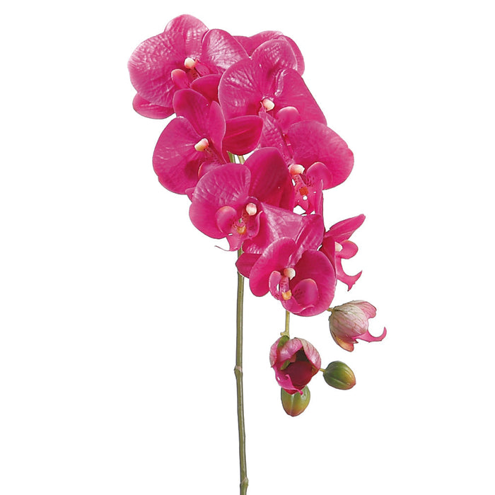 31" Violet Phalaenopsis Spray HSO471-VI